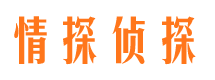 无极市侦探调查公司